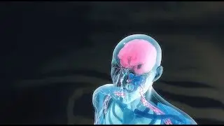 Cognitive Issues & Multiple Sclerosis