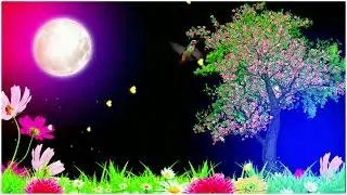 Green Screen video || Chand aur Tare aur  pair paudha wala background template video