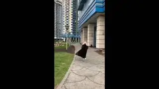 Шубы из соболя.