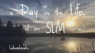Day in the Life of 2 SLMs