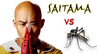 One Punch Man LIVE ACTION Real Life, SAITAMA VS MOSQUITO