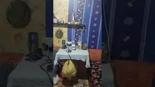 Обычный украинский блиндаж.