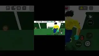 Roberto Carlos