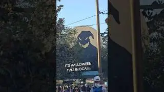 The Halloween Vibes are Vibing 👀🎃👻