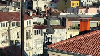 ПЭСЫК НА КРЫШЕ КАКАЕТ