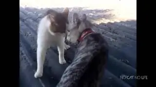 Смешные падения! СМЕШНЫЕ НЕУДАЧИ! ТП! Лучшие приколы! Приколы над людьми! 315