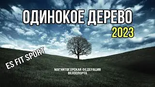 Гонка у «Одного дерева» 2023 начало