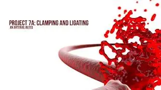 Clamping and ligating an arterial bleed
