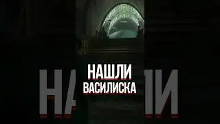 НАШЛИ ВАСИЛИСКА В HOGWARTS LEGACY (ХОГВАРТС НАСЛЕДИЕ, 2023) 