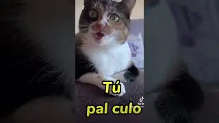 😂😂🤣#funny