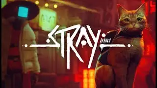 Stray - Знакомство с игрой #1