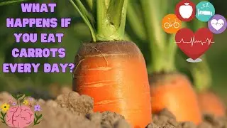 What Happens if You Eat Carrots Every Day? #carrot