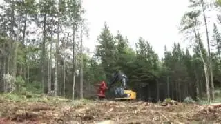 Cat® 521 Track Feller Buncher with an HF201