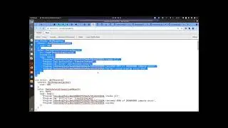 Neon демо 19 июля 21 #2 Внешний вызов от Solidity Contracts