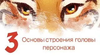 Дизайн персонажей с Тигрой 3 - Основы строения головы персонажа
