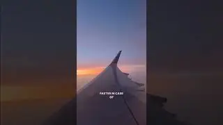 Ever Wondered Why We Follow These In-Flight Rules? | Curly Tales 