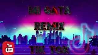 MI GATA ( REMIX TIK TOK ) STANDLY FT EL BARTO FT DJ DAVID MIX