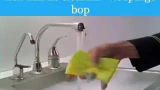 spunch bop clean