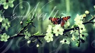 Shigeru Umebayashi ~ George's Waltz [1]