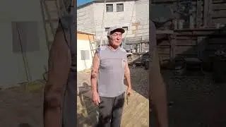 Наши бойные Голуби, Володя приехал за Павлинами