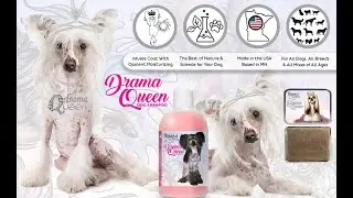 The Blissful Dog Drama Queen Dog Shampoo for The Dog the Earth Actually DOES Revolve Around