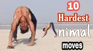 10 HARDEST ANIMAL FLOW WORKOUT 🔥। ANIMAL FLOW ADVANCED 💪। Shivaz fitzone