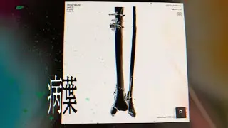 病葉 lsp×｢P｣osterior