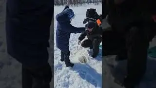 Щука на жерлицы .1мая.