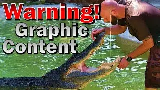 Warning! Graphic Content! WILD FLORIDA!