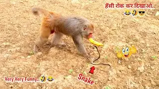 Fake Snake Prank On Monkeys Hilarious Funny Reaction | You Can't Stop Laughing-Must Watch-Part 14