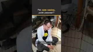 Pet sem vacina, pode passear?