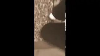 Tapping my neighbours washing line