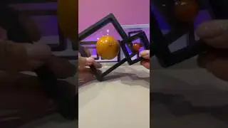 Framed apes #2024video