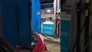 Покушали и в путь #shorts #tiktok