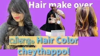 വീണ്ടും Hair Color ചെയ്തപ്പോൾ | Hair cut and Hair Color in Dubai