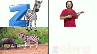 Animabets ABC