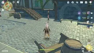 Look for the suspicious person with the package (The Sound of Discord) Genshin Impact 1.4 Windblume
