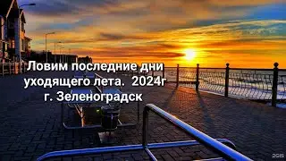 Ловим последние дни уходящего лета. 2024г
