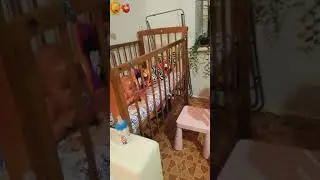 концерт Ариши продолжение