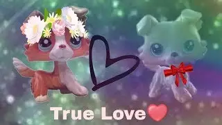 Love Birds Ep.8 S.1 Season Finale (True Love?)