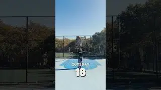 Day 18 Of Making A Trickshot Until I Get 100,000 Subscribers ⛹🏽‍♂️ #basketball #trickshots #nyc