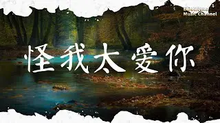 怪我太愛你 穆哲熙 |pinyin|高音質|動態歌詞Lyrics