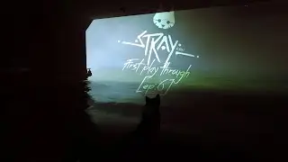Stray: First Playthrough [Ep:6]