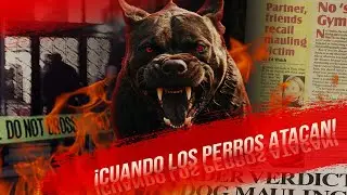 ¡CUANDO LOS PERROS ATACAN! - Casos de la vida real.