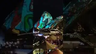 Opera House during Vivid