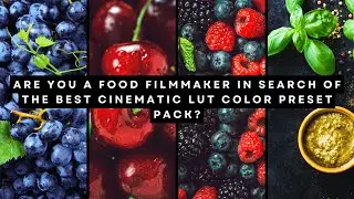 Are You a Food Filmmaker in Search of the Best Cinematic LUT Color Preset Pack? Top Recommendations!