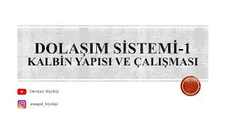 11. Sınıf Dolaşım Sistemi - 1 (Kalbin Yapısı ve Çalışması)