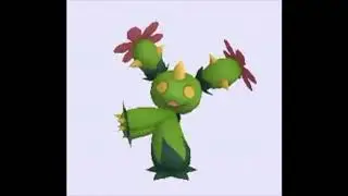 maractus.mp4
