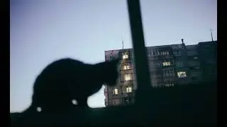 ПРОПАСТЬ МЕЖДУ ДНЯМИ - ты уже не помнишь