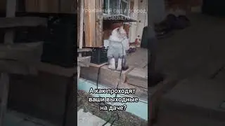 🤣 Когда выходные на даче удались